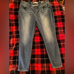 Signature by Levi Strauss Women's Blue Skinny Jeans Elastic Waistband  22 w36